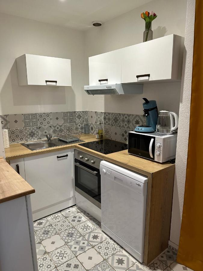Joli Appartement Proche Centre Ville, Thermes, Aquensis Bagnères-de-Bigorre المظهر الخارجي الصورة